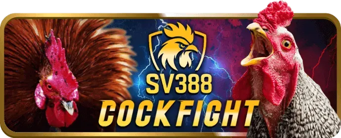 Chương trình hoàn trả cược fun222 nổ hũ