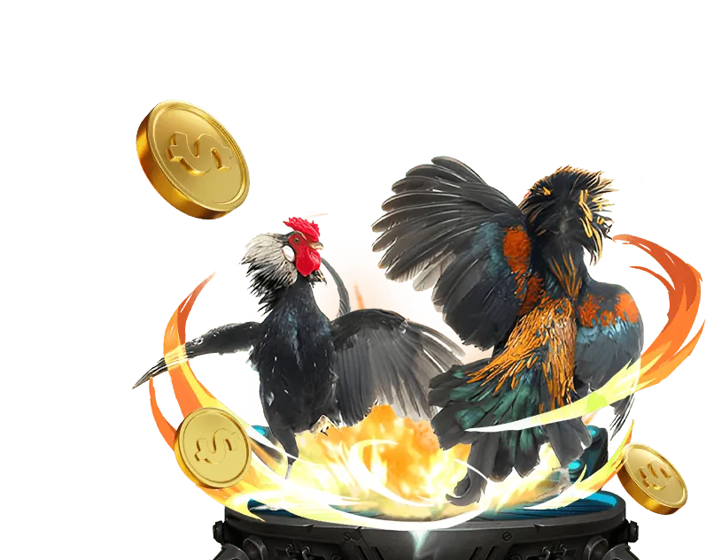 Ưu đãi hoàn trả hàng ngày